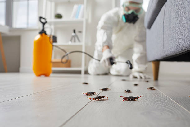 Post-Treatment Bed Bug Interceptor Monitoring in Vero Beach South