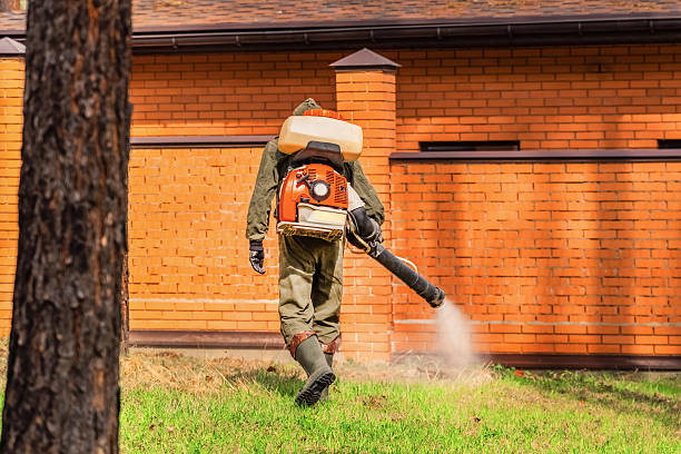Bed Bug Clearance Verification and Documentation in Vero Beach South